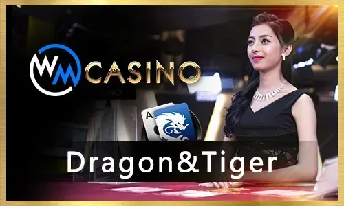 Thrilling Cockfighting Betting